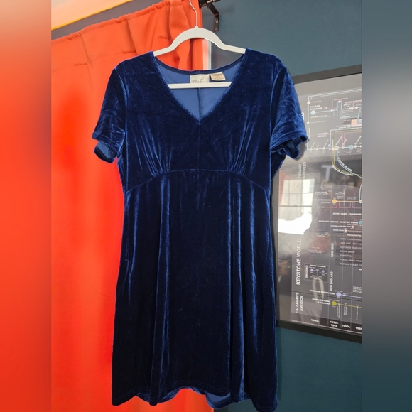 Kathie Lee Collection Dresses & Skirts - Velvet Mini Dress